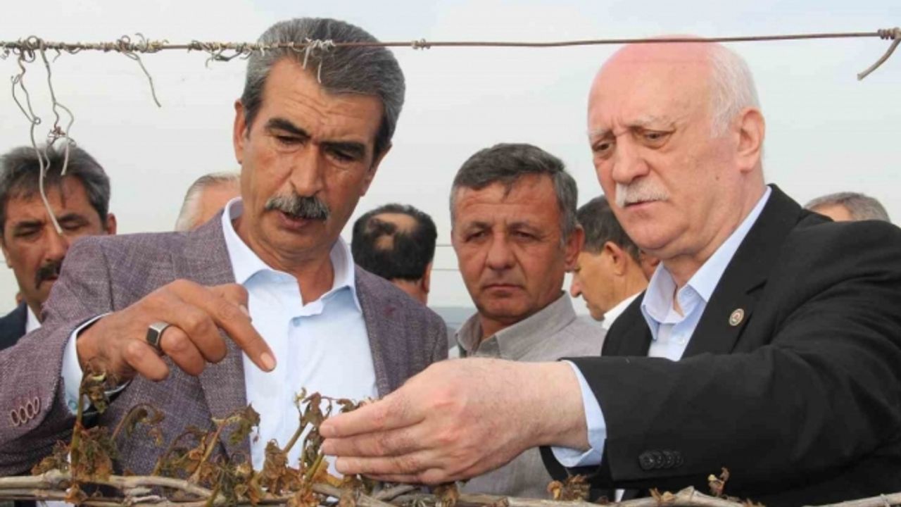 TZOB Genel Başkanı Bayraktar, Manisa’da don afeti sonrası bağlarda incelemelerde bulundu