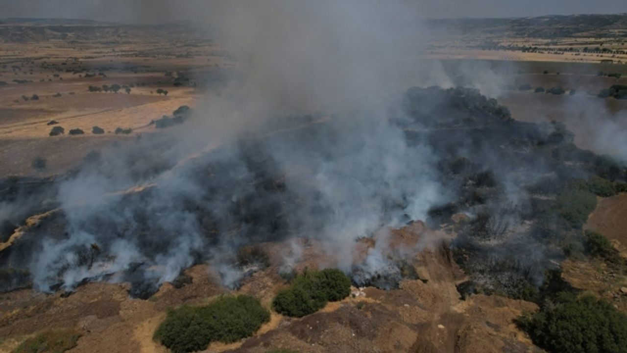 Ekili alanda çıkan yangın kısa sürede kontrol altına alındı