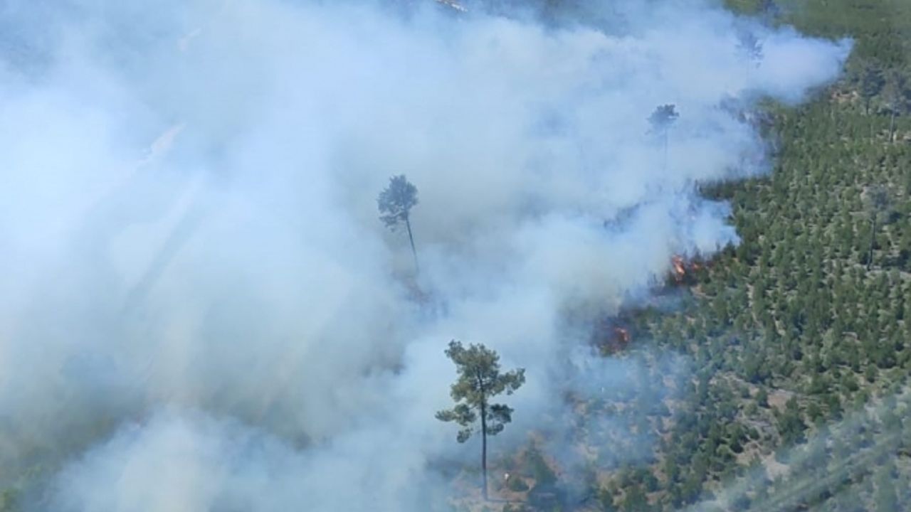 Manisa’da çıkan orman yangınına müdahale devam ediyor