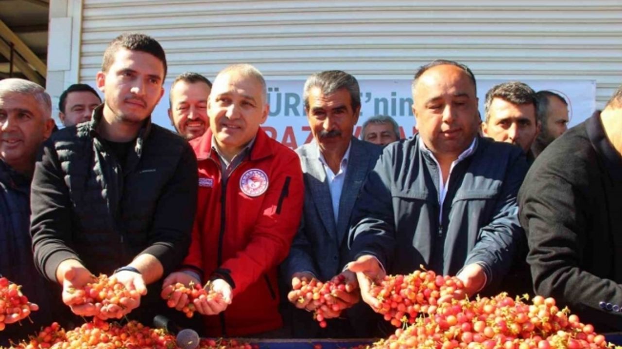Manisa’nın ilk 5 aylık tarım ihracatı 400 milyon dolara yaklaştı