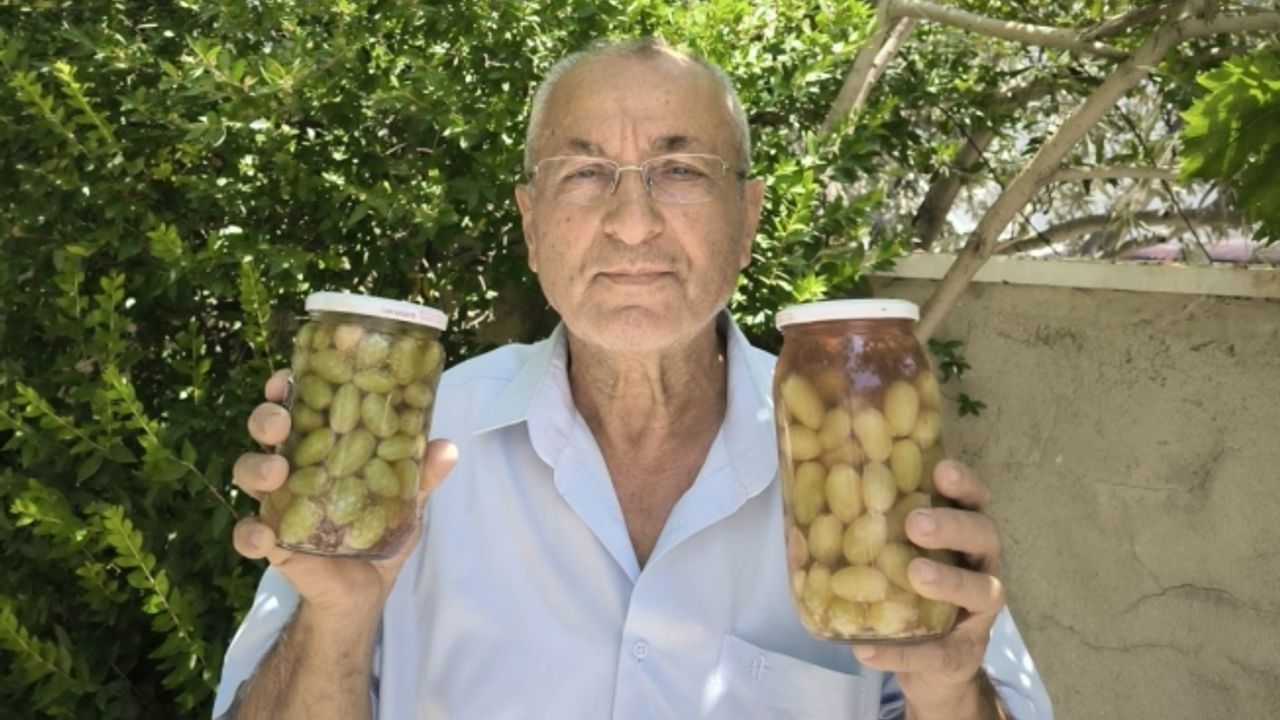 Sarıgöl’de Mevlana üzümünden yapılan turşu yoğun ilgi gördü