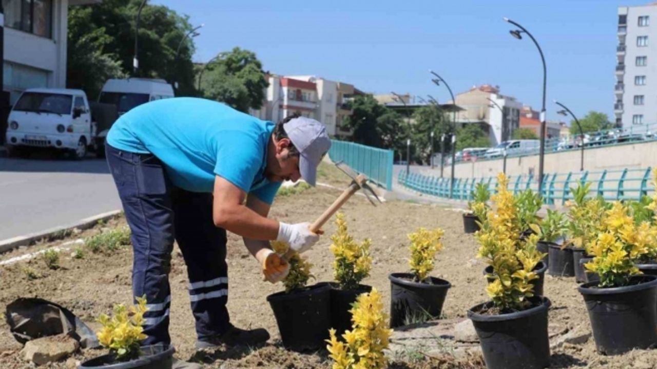 Turgutlu Belediyesi Park ve Bahçeler Müdürlüğü ekipleri kenti güzelleştiriyor