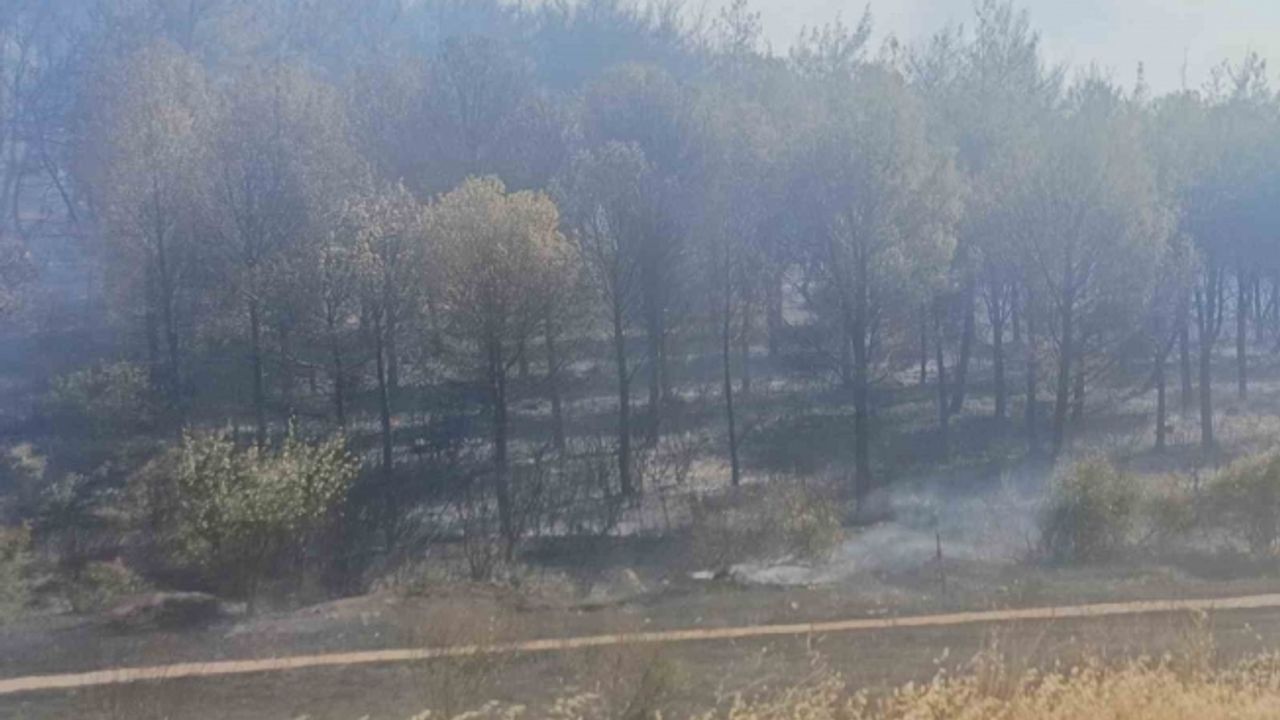 Soma yangınında bir mahalle boşaltındı, bir kişi de gözaltına alındı