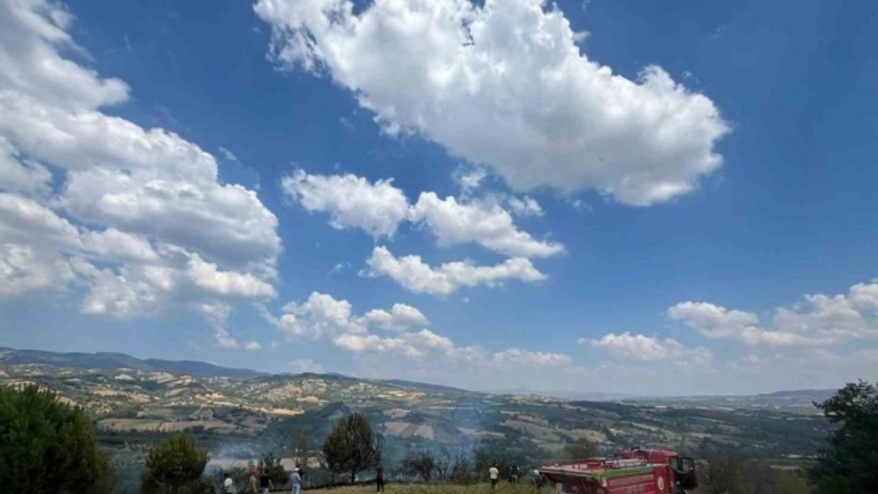 Tütün tarlasına çekilen seyyar elektrik kablosu yangına neden oldu