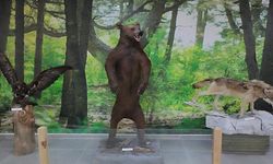 Spil'de Tahnit Müzesi ziyarete açıldı