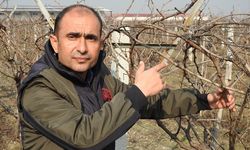 Uzmanından "Budama yapmayanlar beklesinler" uyarısı