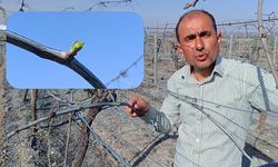 Sıcaklık 30 dereceden 3 dereceye düşecek