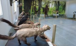 Milli Park, 60 okuldan 12 bin öğrenciye tanıtıldı