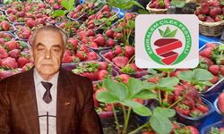 Kendi bahçesinden sonra beldesini çilek donattı