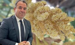 Polenlerden nasıl korunmalıyız?