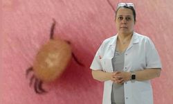 Kene erken çıkarılırsa KKKA hastalık riski azalır