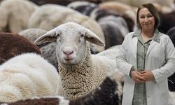 Kurban eti hemen tüketilmemeli