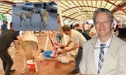 Kurban iç organlarını köpeklere vermeyin