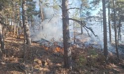 Demirci’de orman yangınına havadan müdahale