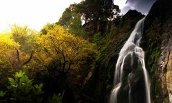 Manisa’da sonbahar manzaraları Karadeniz yaylalarını aratmadı