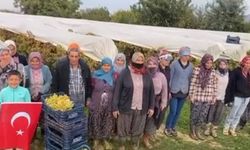 Bağlarda siren sesi yankılandı