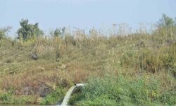 Manisa’da çevreyi kirletenlere 132 milyonluk ceza