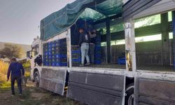 Sarıgöl’de örtüaltı üzüm hasadı devam ediyor