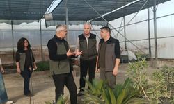 6 milyon fidan üretimi için start verildi (Özel Haber)