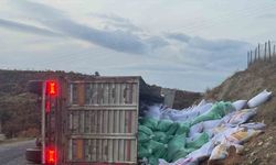 Gördes’te yem yüklü tır devrildi: 1 yaralı