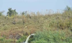 Manisa’da çevre ihlallerine 136 milyon TL’yi aşan ceza