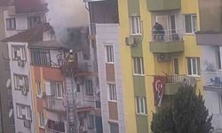 Manisa’da ev yangını: 6 kedi telef oldu