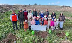 Manisa’da yanan alanlara 100 bininci fidan dikildi