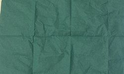 Manisa'da aranan şüpheliden 2 bin 500 içimlik uç bonzai çıktı