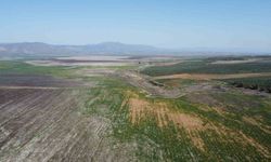 Manisa'da kuruyan Marmara Gölü yeniden canlanıyor