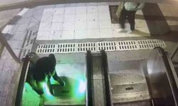 Şehir magandaları kamerada: Yürüyen merdiveni durdurup kaçtılar