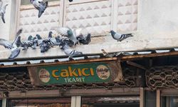 Balkonunu kuşlara sofra yaptı: Demircili esnaftan örnek davranış