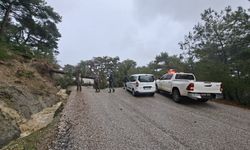 Spil yolunda ağaç devrildi, yol kapandı