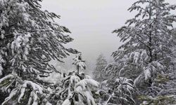 Demirci'nin yüksek kesimlerinde kar yağışı etkili oluyor