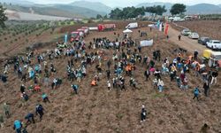 Manisa'da Orman Haftası'nda binlerce fidan toprakla buluştu