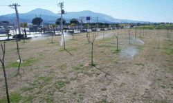 Manisa'da yeşil alanlarda akıllı sulama dönemi başladı