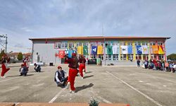 Manisa'nın Sarıgöl ilçesinde 400 fıstık çamı toprakla buluştu