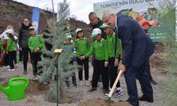 Manisa’da 30 bin fidan toprakla buluşacak