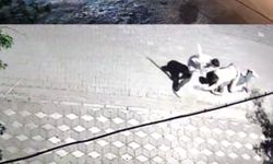 Manisa'da kız meselesi kavgası: 6 yerinden bıçaklandı