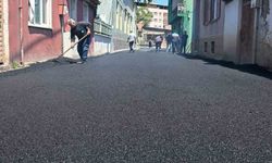 Muradiye'de yol yenileme ve asfalt seferberliği