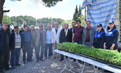 Salihlili üreticilere 34 bin sebze fidesi