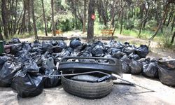 Çiftlik Park Mesire Alanı'nda çevre için el ele verildi