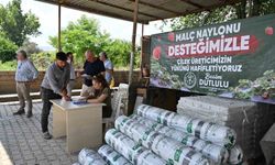 Manisa Büyükşehir'den çilek üreticilerine malç naylonu desteği