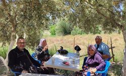 Salihli Huzurevi sakinleri doğayla buluştu