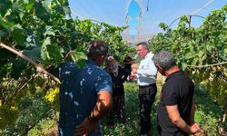 Kaymakam Dalak'tan üzüm üreticisine moral ziyareti