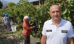 Manisa'da üzüm ihracatı bugün başlıyor
