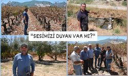 Karaali çiftçisi haykırdı:
