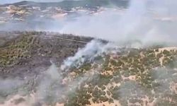 Gördes'teki orman yangını 4 saatte kontrol altına alındı