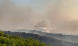 Manisa'da 3 günlük alarm: Orman yangını riskine karşı tedbirler artırıldı
