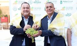 Başkan Şimşek'ten Bağ Bozumu Şenlikleri'ne davet