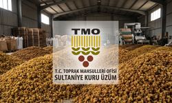 TMO kuru üzüm için fiyat açıkladı